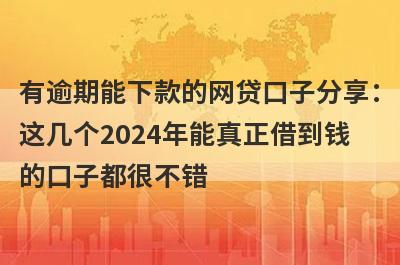 有逾期能下款的网贷口子分享：这几个2024年能真正借到钱的口子都很不错！