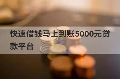 快速借钱马上到账5000元贷款平台(2024贷款贷不到也可以借到钱的口子)