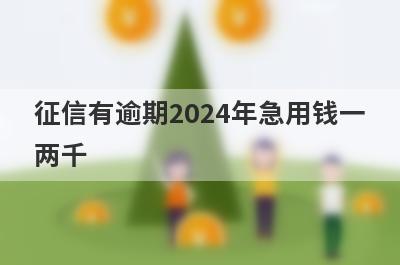 征信有逾期2024年急用钱一两千，试试这些小贷平台征信有逾期也能借