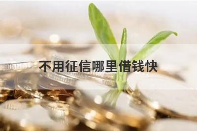 不用征信哪里借钱快？独家盘点2024年不用征信也能秒到账的贷款平台