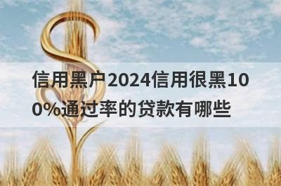 信用黑户2024信用很黑100%通过率的贷款有哪些？这5个贷款容易通过