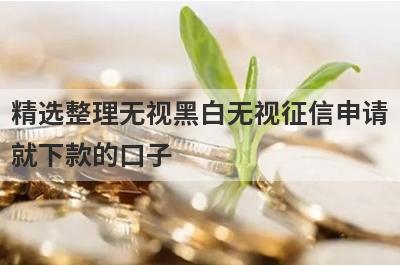 精选整理无视黑白无视征信申请就下款的口子 这5个平台门槛极低