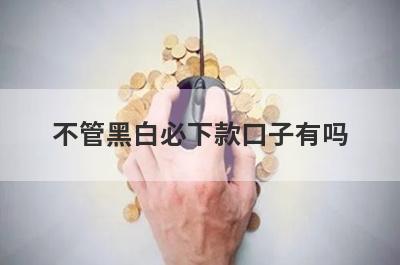 不管黑白必下款口子有吗？这几个不管黑白审核通过必下款
