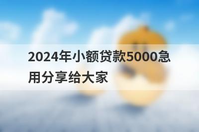 2024年小额贷款5000急用分享给大家，这5个小额贷款平台通过率高，秒批极速放款！