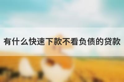 有什么快速下款不看负债的贷款？精选五个好下款的贷款