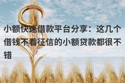 小额快速借款平台分享：这几个借钱不看征信的小额贷款都很不错！