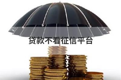 贷款不看征信平台 信用贷款不看征信