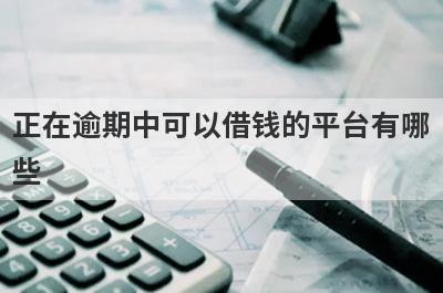 正在逾期中可以借钱的平台有哪些？独家盘点5个比较容易通过的网贷2024