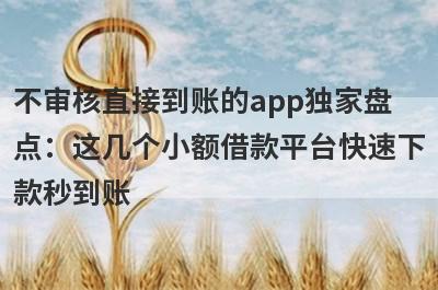 不审核直接到账的app独家盘点：这几个小额借款平台快速下款秒到账！