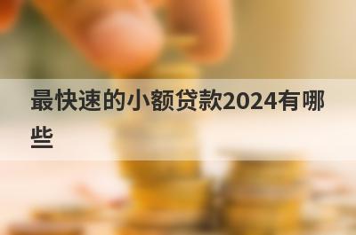 最快速的小额贷款2024有哪些？小额贷款容易过