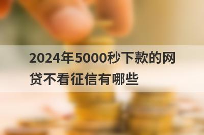 2024年5000秒下款的网贷不看征信有哪些？盘点5个不看征信下款网贷