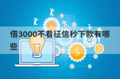 借3000不看征信秒下款有哪些？这5个秒到账