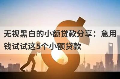 无视黑白的小额贷款分享：急用钱试试这5个小额贷款！