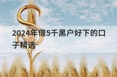 2024年借5千黑户好下的口子精选 这5个口子随借随到很方便