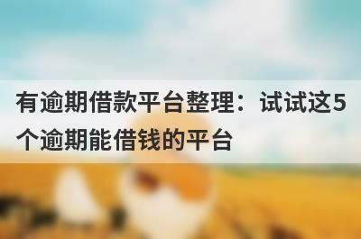 有逾期借款平台整理：试试这5个逾期能借钱的平台