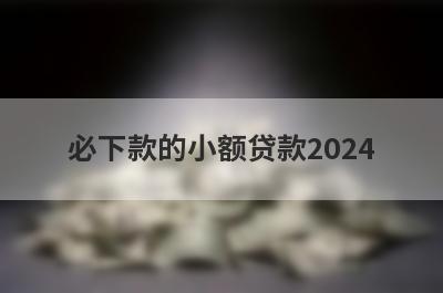 必下款的小额贷款2024