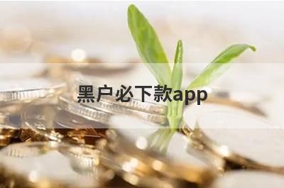 黑户必下款app