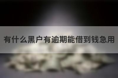 有什么黑户有逾期能借到钱急用 盘点5个黑户有逾期能借到钱急用