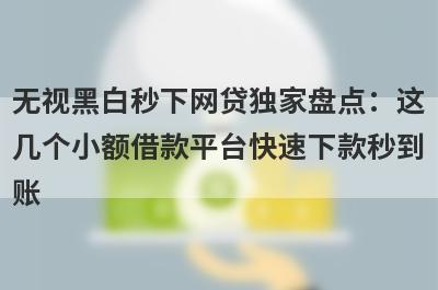 无视黑白秒下网贷独家盘点：这
几个小额借款平台快速下款秒到
账
