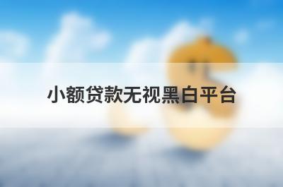 小额贷款无视黑白平台