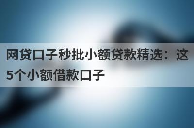 网贷口子秒批小额贷款精选：这5个小额借款口子，轻松借到急需资金！