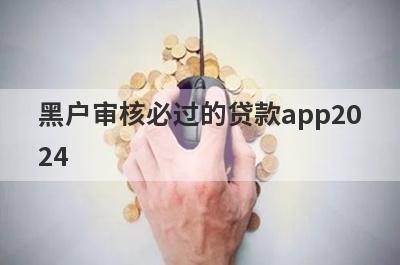 黑户审核必过的贷款app20
24
