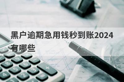 黑户逾期急用钱秒到账2024有哪些？独家盘点5个无视黑白无视征信申请就下款的口子