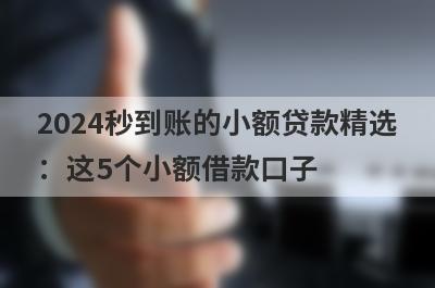 2024秒到账的小额贷款精选：这5个小额借款口子，轻松借到急需资金！