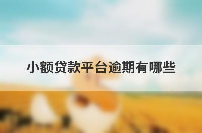 小额贷款平台逾期有哪些？盘点5个信用卡逾期也可以借钱的平台