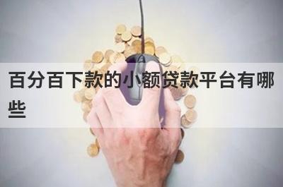 百分百下款的小额贷款平台有哪些？这几款能满足你