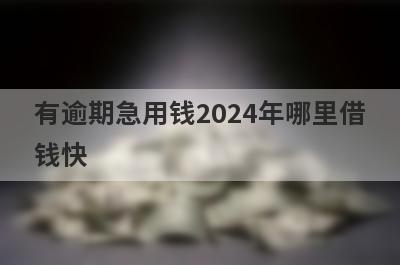 有逾期急用钱2024年哪里借钱快？独家盘点有逾期急用钱也能秒到账的贷款平台