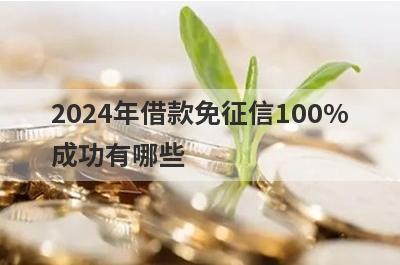 2024年借款免征信100%成功有哪些？独家盘点不审核不看征信的贷款