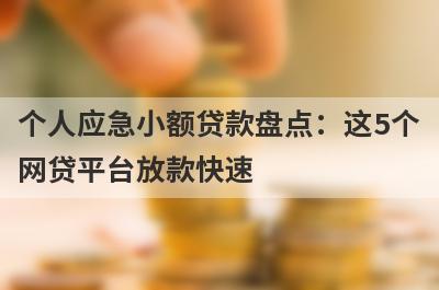 个人应急小额贷款盘点：这5个网贷平台放款快速，可以迅速解决资金需求！