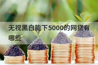 无视黑白能下5000的网贷有哪些？这5个无视黑白也能借5000