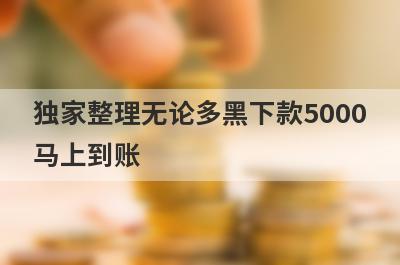 独家整理无论多黑下款5000
马上到账
