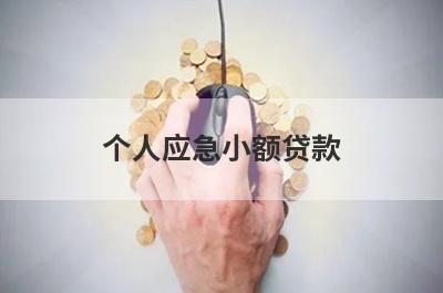 个人应急小额贷款，比较容易借钱的网贷