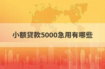 小额贷款5000急用有哪些？独家盘点5个1000-3000的小额贷款
