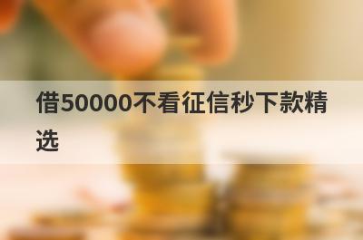 借50000不看征信秒下款精选 这5个口子可以借到钱