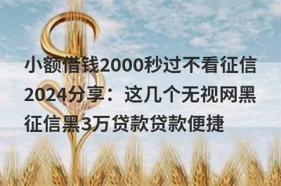 小额借钱2000秒过不看征信2024分享：这几个无视网黑征信黑3万贷款贷款便捷，秒到账！