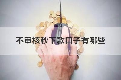 不审核秒下款口子有哪些？推荐5个网贷随便就能下款