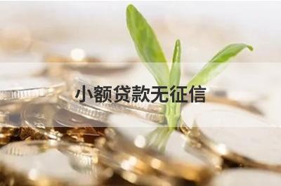 小额贷款无征信，这几个小额借款口子，轻松借到急需资金！