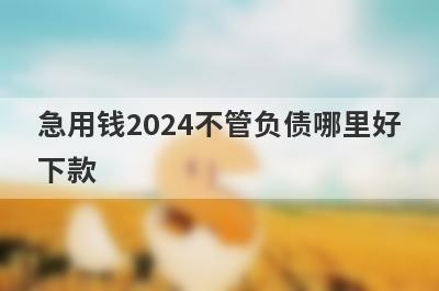 急用钱2024不管负债哪里好下款？独家精选5个秒下款小额贷款