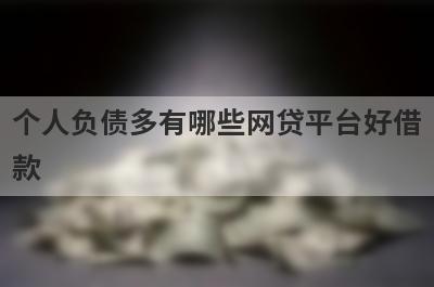 个人负债多有哪些网贷平台好借款？试试这5个借款简单的平台