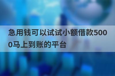 急用钱可以试试小额借款5000马上到账的平台，放款快速！