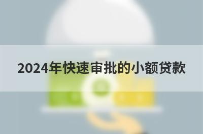 2024年快速审批的小额贷款，挑选五个2024年快速审批的小额贷款