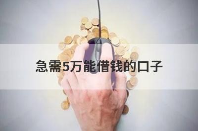 急需5万能借钱的口子，这5个小额贷款平台，更好下款！