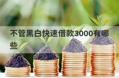 不管黑白快速借款3000有哪些？这几个不管黑白也能秒下3000