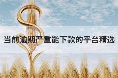 当前逾期严重能下款的平台精选 这5个口子极速借款秒到账