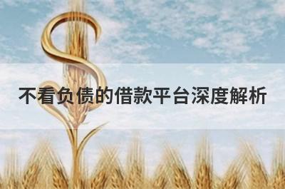 不看负债的借款平台深度解析，这5个小额贷款平台，不仅简单还好通过！