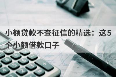 小额贷款不查征信的精选：这5个小额借款口子，轻松借到急需资金！